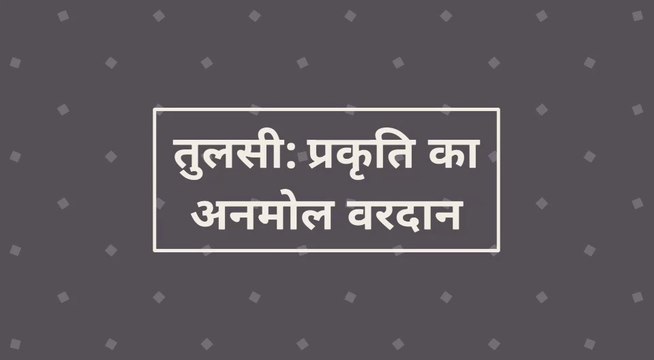 19 Best Health Benefits Of Tulsi. Holy Basil Benefits