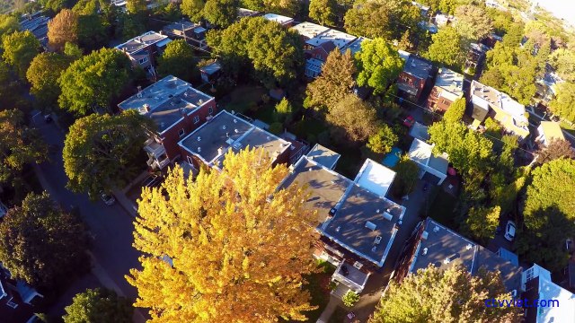 Yêu cầu kiểm điểm trách nhiệm phó bí thư TP.HCM Tất Thành Cang.