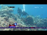 Spot Diving Kece di Indonesia - NET 12