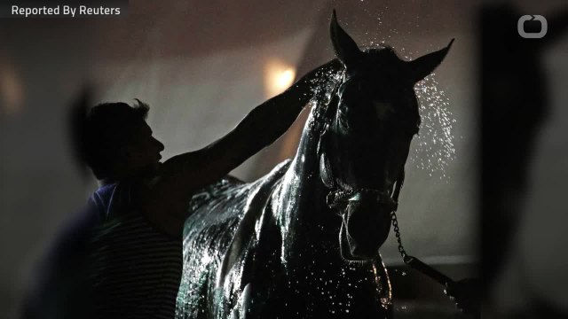 Justify Wins Kentucky Derby As Favorite