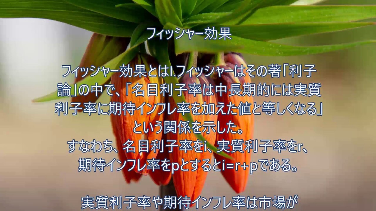フィッシャー効果～JDPアセットマネジメント資産管理用語集