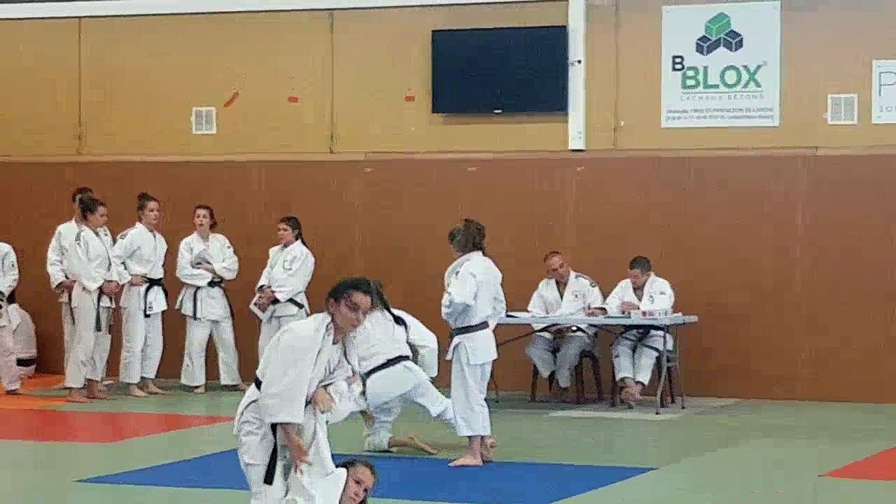Lilou technique UV2 - 1er DAN
