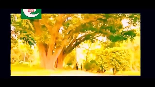 Noor Ul Ain Official 14 _ Imran Abbas _ Sajal Aly _ Pakistan youtube