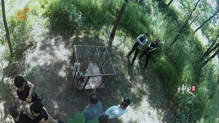 Quân Khuyển Kỳ Binh Tập 14 - Phim Cảnh Sát Đặc Nhiệm Hay