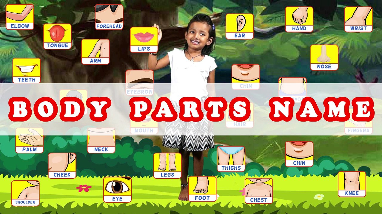 Body Parts Name English to Hindi