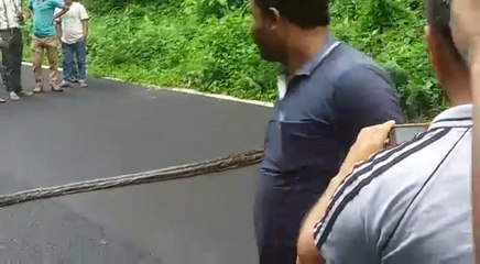 Biggest Snake Road crossing in India...!!!