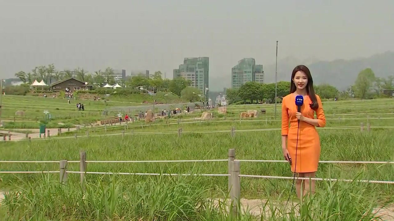 [날씨] 중부 초여름 날씨...남부 비 내리며 선선 / YTN