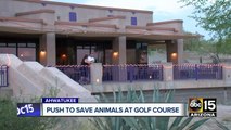 Community pushing to save animals at Phoenix golf course