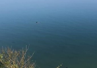 Pilot Lands Plane on Devon Beach After Engine Cuts Out