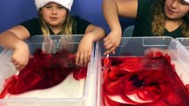 MAKING 4 GALLONS OF GIANT FLUFFY CANDY CANE SLIME