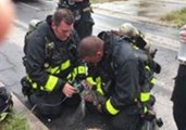 Florida Firefighters Revive Kitten Rescued From House Fire