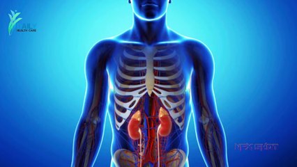 Frequent Urination बार बार पेशाब आना, कारण व इलाज   Daily Health Care - YouTube