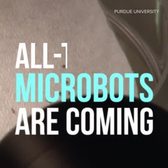 These robots are smaller than a pin head