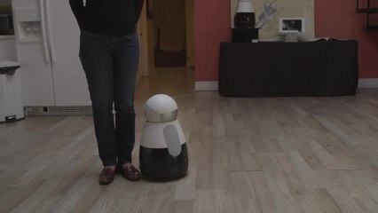 Inside the Dome Making Robots More Lifelike