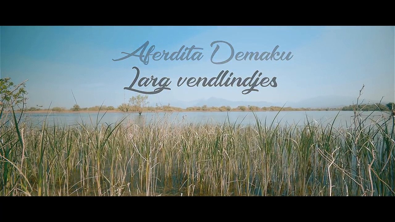 Aferdita demaku - larg vendlindjes (2018)