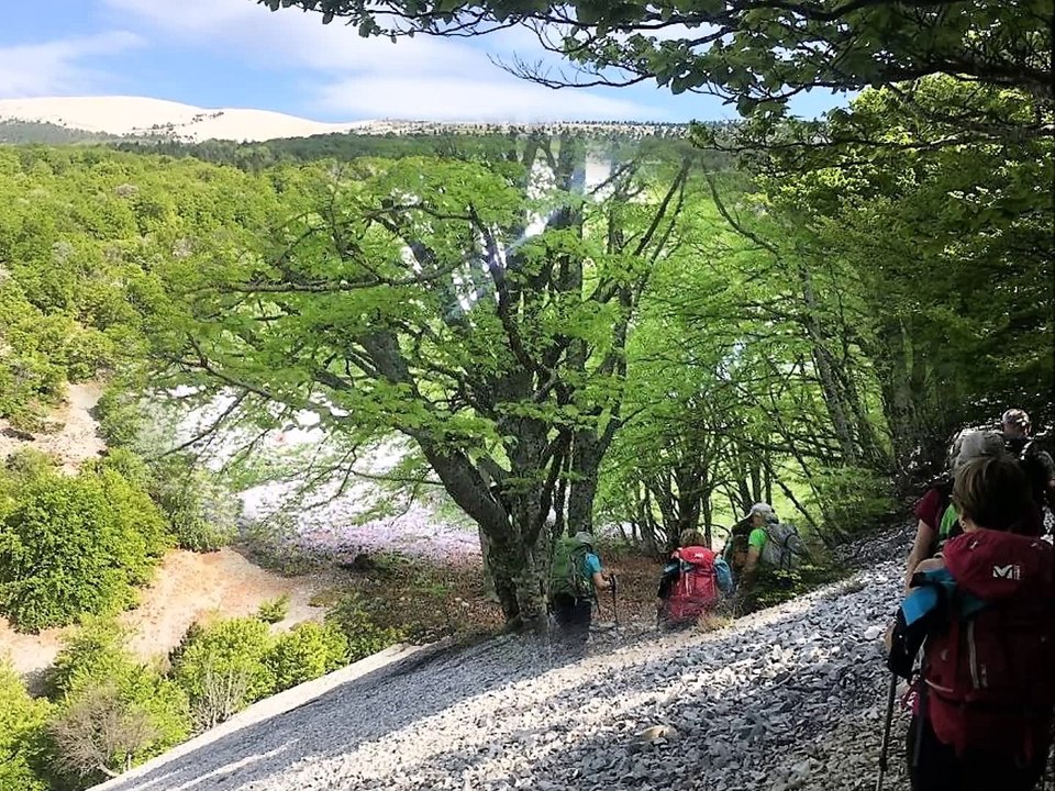 Combe de la Grave