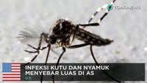 Kutu dan nyamuk menyebar di AS - TomoNews