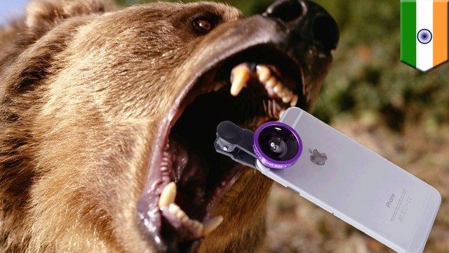 Indian man’s selfie attempt with wild bear - TomoNews