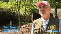 Yvelines : le zoo de Thoiry fête des 50 ans