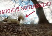 Naughty Squirrel Steals Man's GoPro