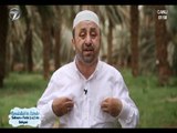 RESULULLAH'IN İZİNDE - SELMAN-I FARİSİ(r.a)'NİN BAHÇESİ