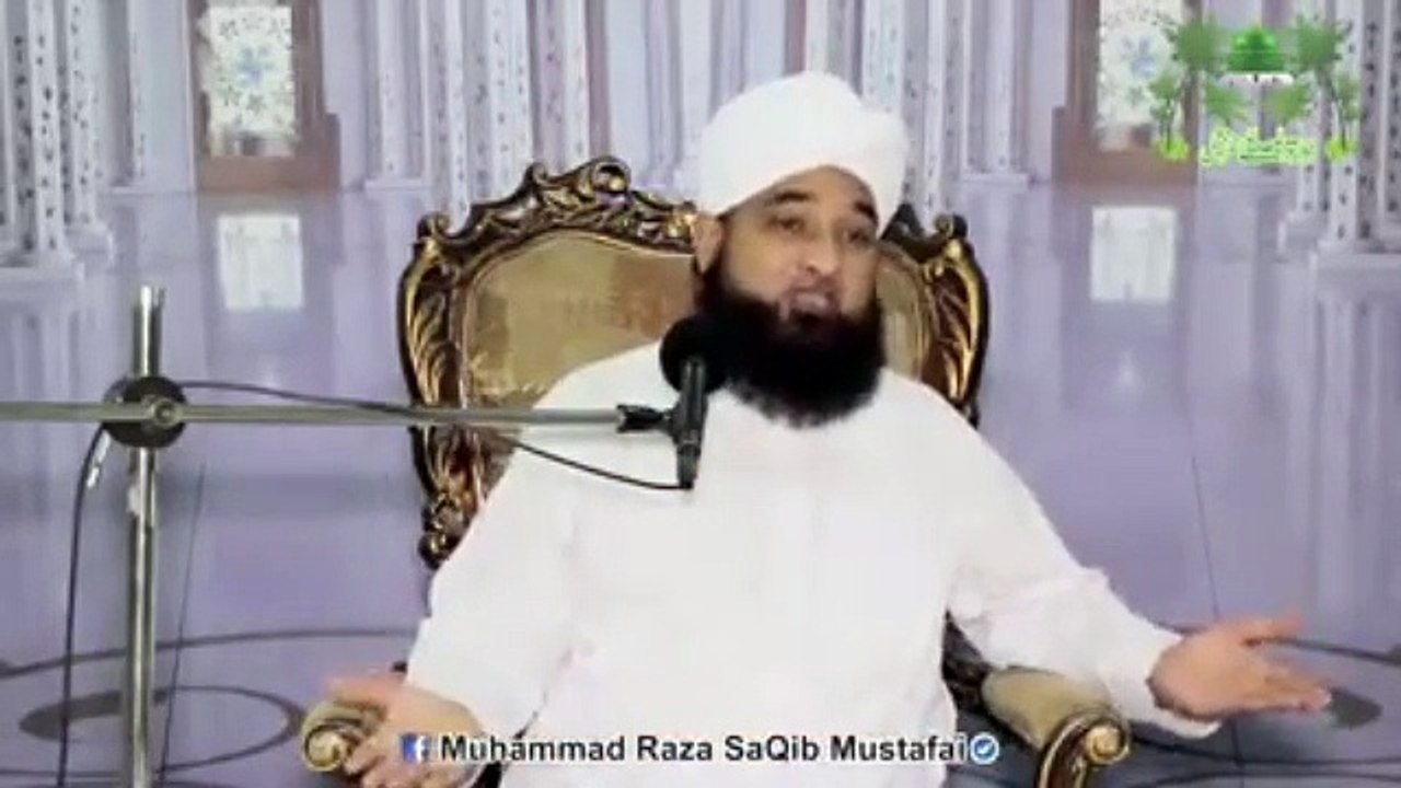 Muhammad Raza Saqib Mustafai (362)