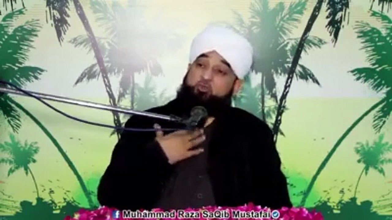 Muhammad Raza Saqib Mustafai (365)