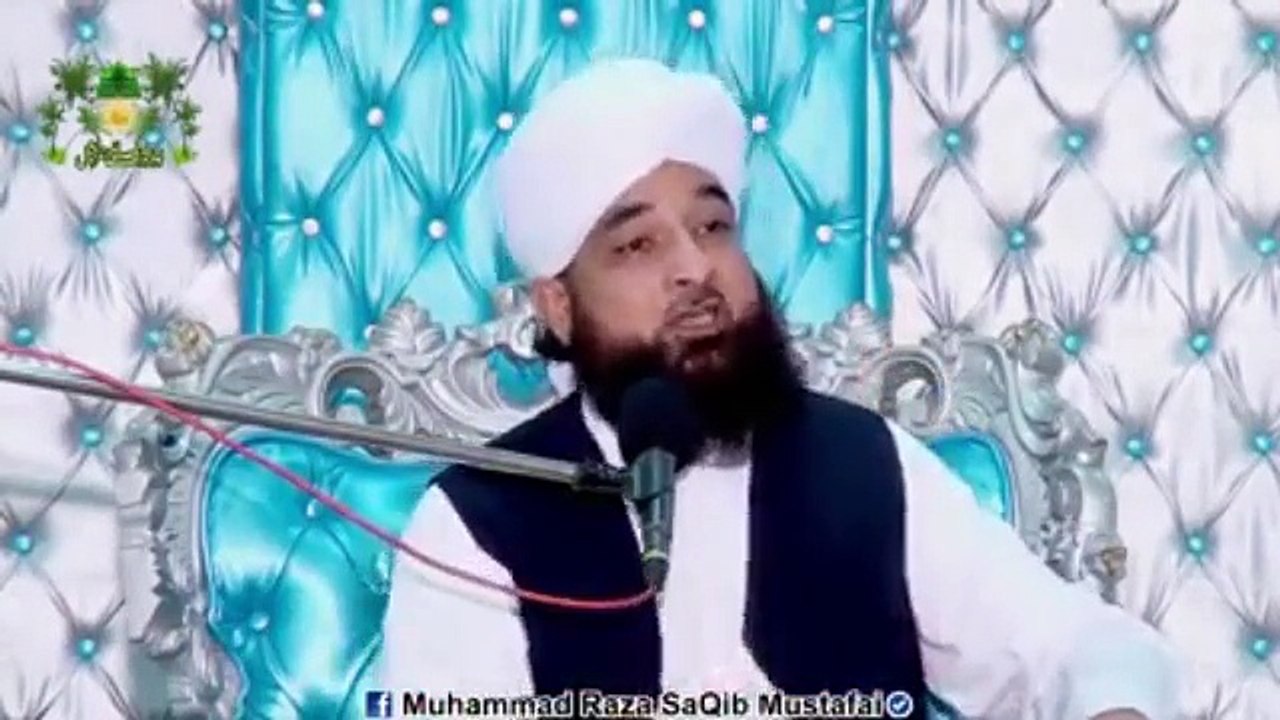 Muhammad Raza Saqib Mustafai (367)