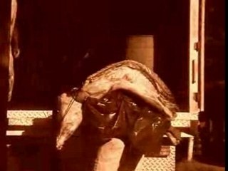 Clip d'Argentine Jerez Le Cam Ensemble