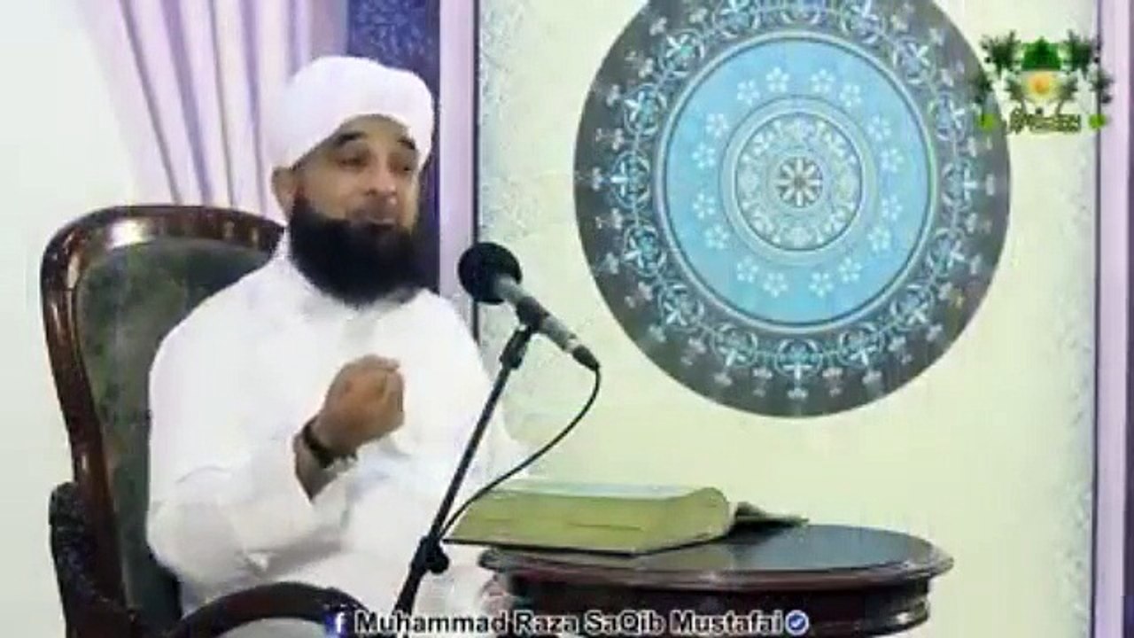 Muhammad Raza Saqib Mustafai (372)