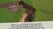 Une crevasse de 200 mètres de long coupe un champ en deux en Nouvelle-Zélande