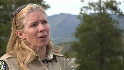 Man Wanted for Harassing Moose in Colorado