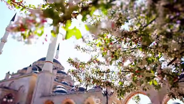 رحمن رحمن - مشاري راشد العفاسي Mishari Rashid Al Afasy - Rahman