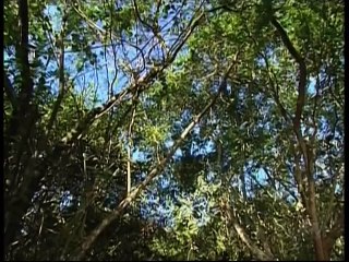 Os Mutantes Capítulo 23 2_2