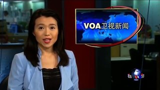 VOA卫视(2016年7月6日 第二小时节目 时事大家谈 完整版)