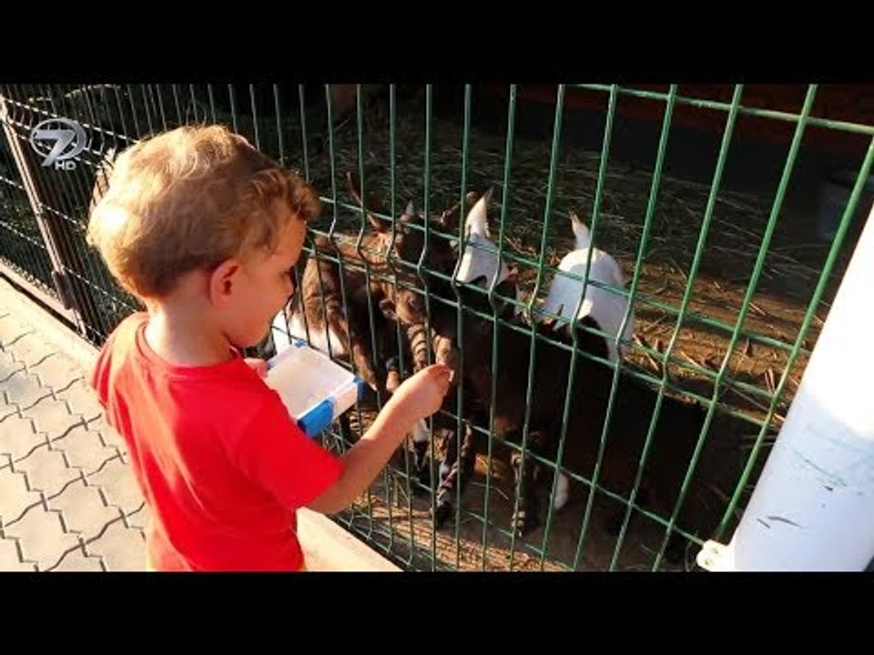 Dünyayı Geziyorum - 20 Ağustos Kherson Tanıtım