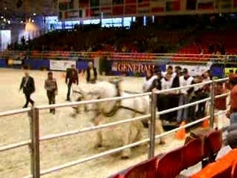 traction des boulonnais charge maxi