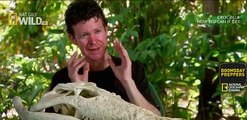 Snake Documentary Crocodile Documentary National Geographic Animals