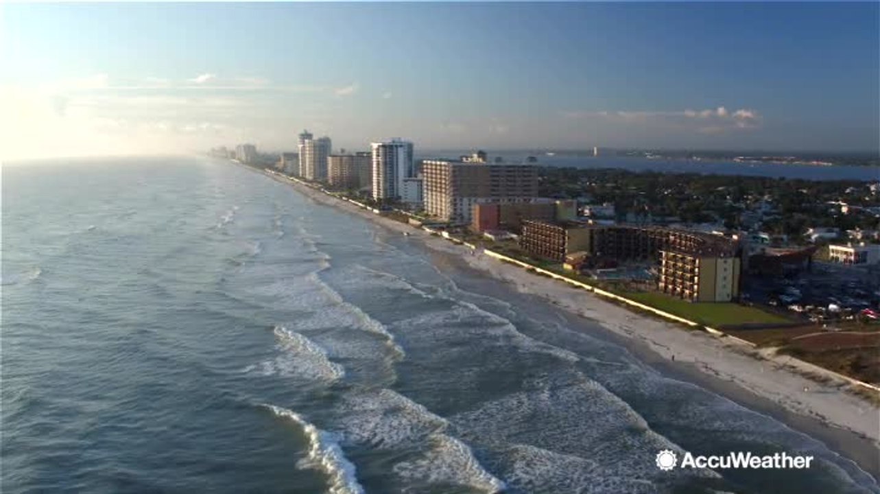 Could there be a yellow fever outbreak in South Florida?