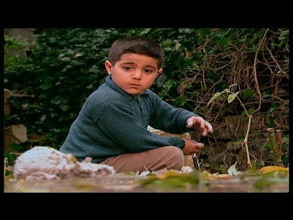 Kalp Gözü - Ekmek ve Peynir