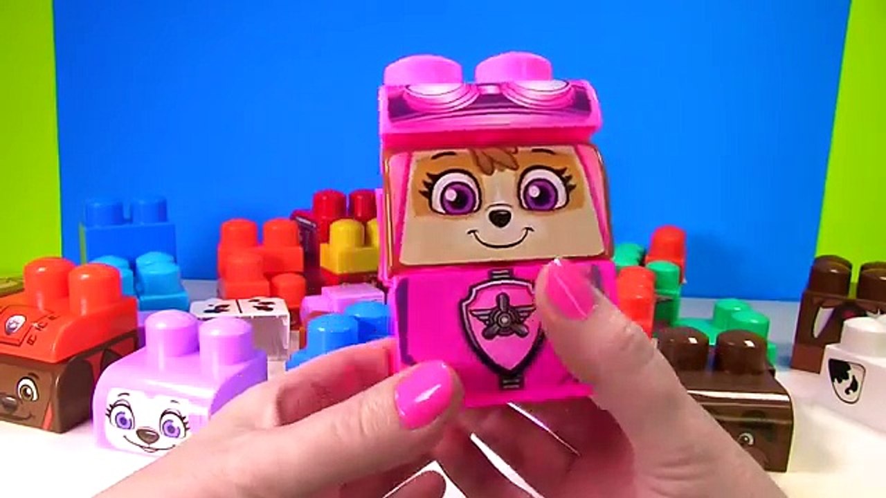 - Paw Patrol Ionix Match Heads Bodies