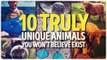10 Unique Animals You Wont Believe Exist