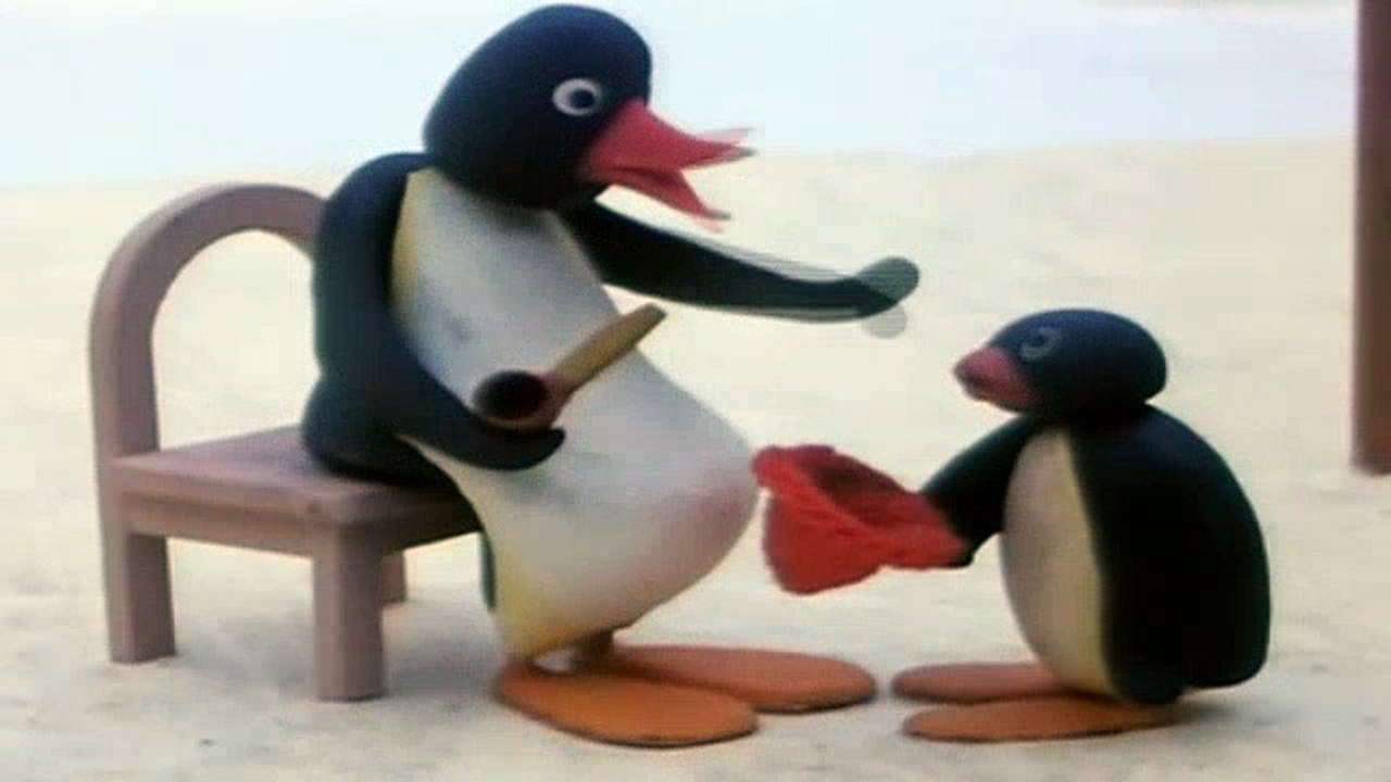 Pingu 014 Pingu Builds an Igloo