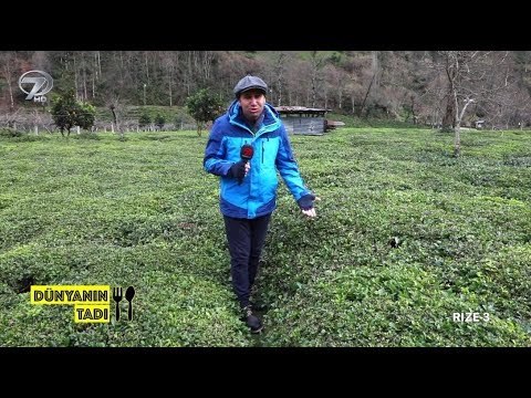 Dünyanın Tadı - Rize 3 | 17 Şubat 2018