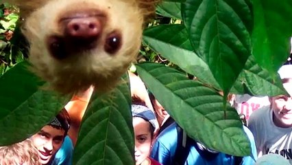 26 Hilarious Animal Photobombs