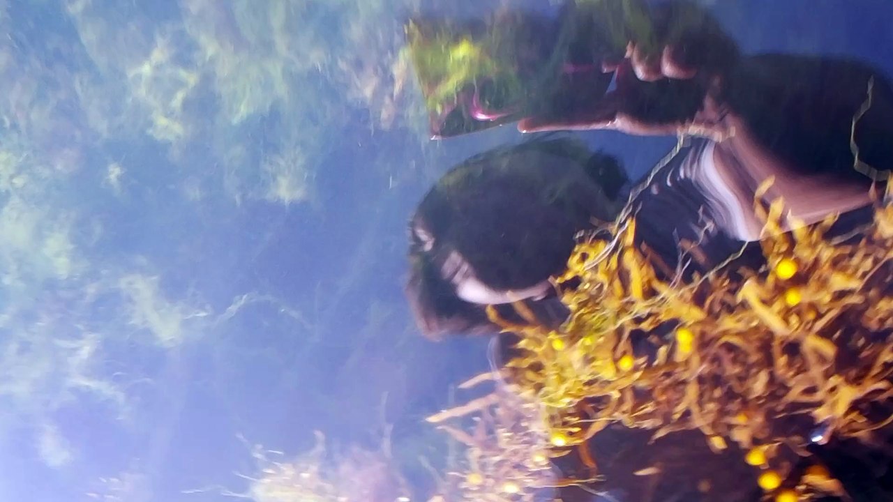 Anguille scalo di Gadir 7  Maggio 2018