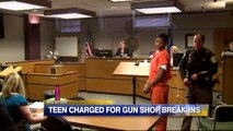 Teen Accused of Attempted Murder Now Charged for Stealing at Least 20 Firearms from Gun Shop