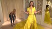 Lily Aldridge Unveils 2018 Met Gala Gown by Ralph Lauren
