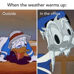 Why Must the Office Always Be So Cold?