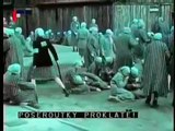 Zámek Nekonečno Drama Československo 1983 & Zanik samoty Berhof 1983 DVDRip celý film ,cel part 5/5